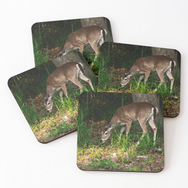 Item preview, Yong deer grazing II designed and sold by Texas Enfocus Photography.