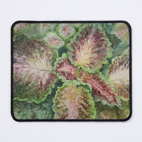 Item preview, Coleus #2 designed and sold by BeeGarland.