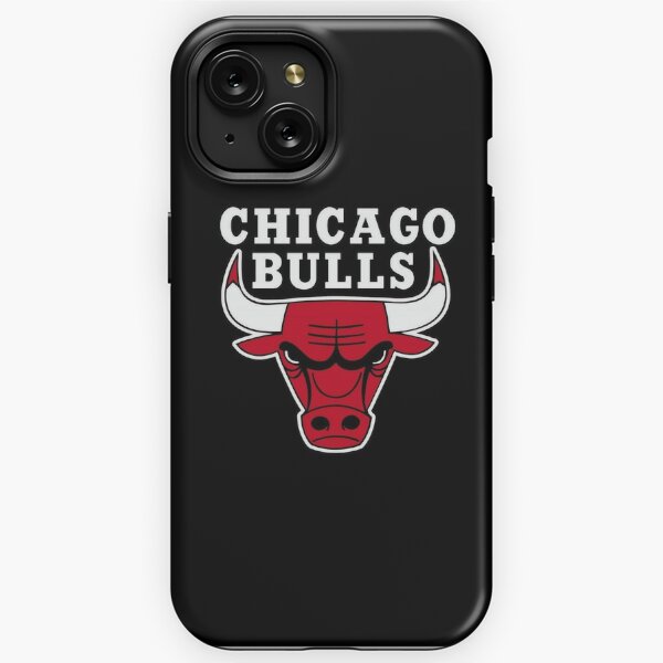 Chicago Bulls Sign Metal Parking