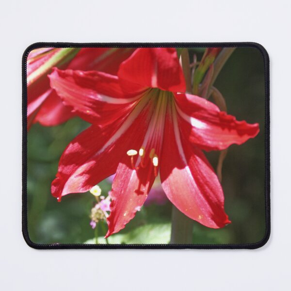 Item preview, Red Bell Flower designed and sold by Texas Enfocus Photography.