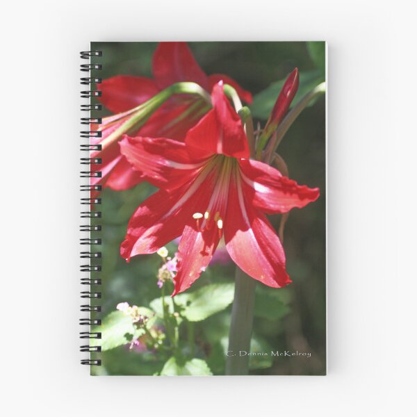 Item preview, Red Bell Flower designed and sold by Texas Enfocus Photography.