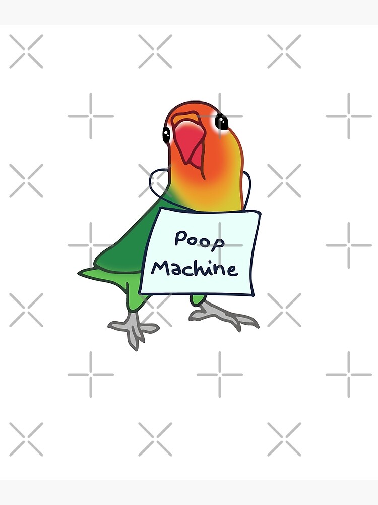 "Fischer's Lovebird Poop Machine" Poster for Sale by FandomizedRose