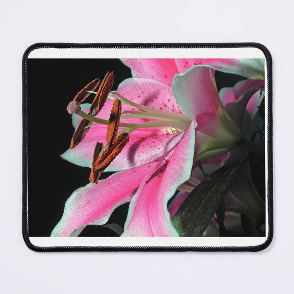 Item preview, Lily on Black designed and sold by paolo1955.