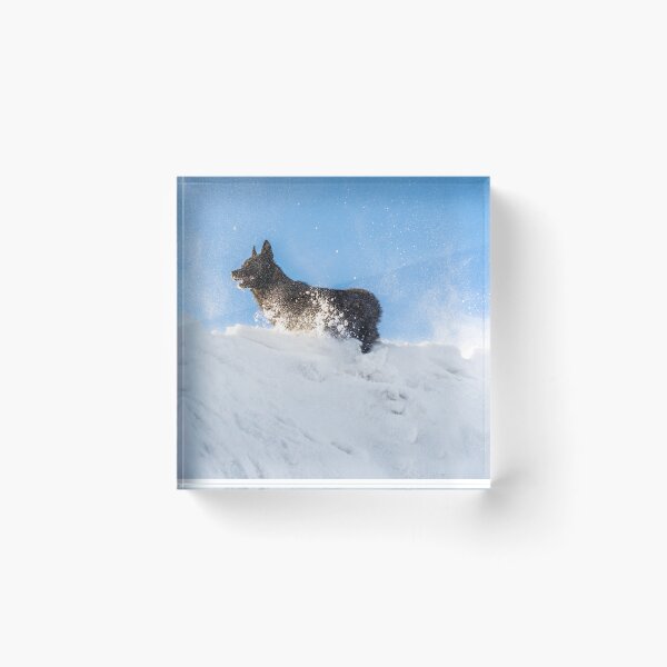 Item preview, Dog walk in the snow German Shepherd  designed and sold by Monika Howarth.