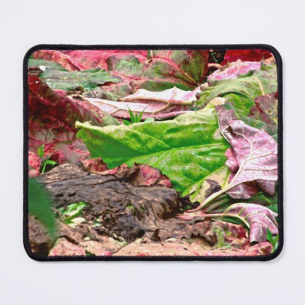 Item preview, Rhubarb Leaves designed and sold by Shulie1.
