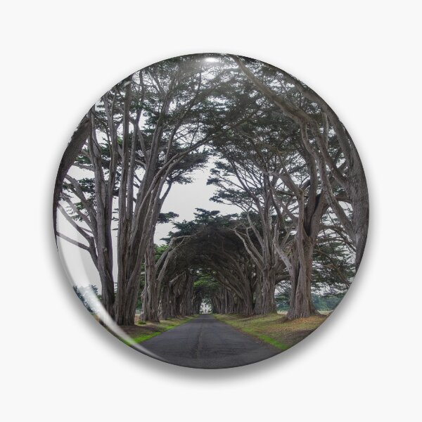 Item preview, Cypress Tree Tunnel - Point Reyes, CA designed and sold by SparklePyre.