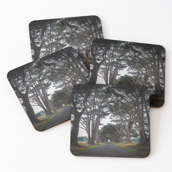 Item preview, Cypress Tree Tunnel - Point Reyes, CA designed and sold by SparklePyre.