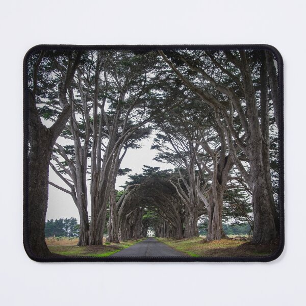 Item preview, Cypress Tree Tunnel - Point Reyes, CA designed and sold by SparklePyre.