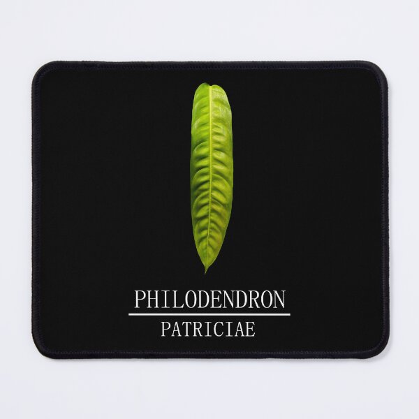 Item preview, Philodendron patriciae designed and sold by plantbear.
