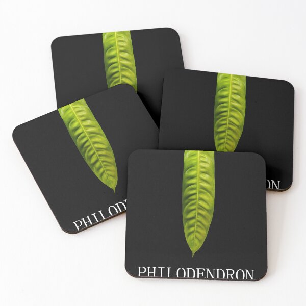 Item preview, Philodendron patriciae designed and sold by plantbear.