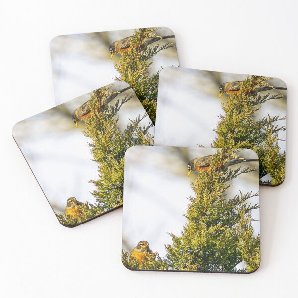 Item preview, Robins on a Juniper Bush designed and sold by Lauren1235.