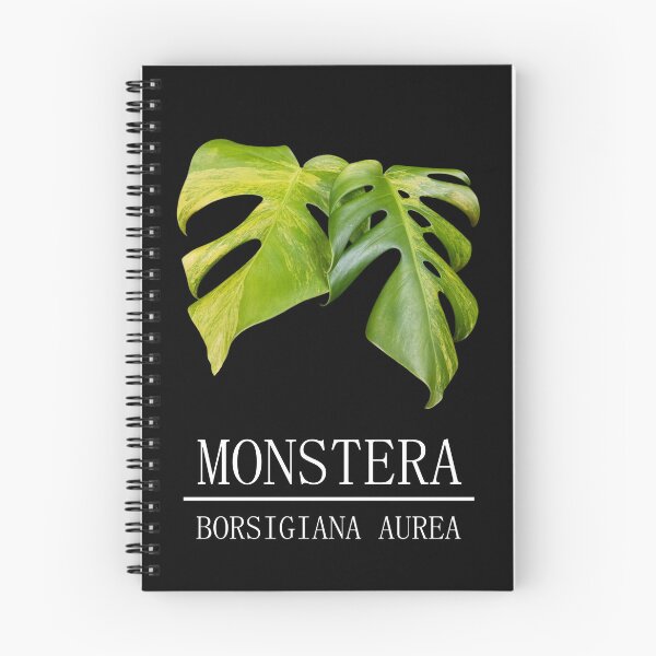 Item preview, Monstera borsigiana aurea designed and sold by plantbear.