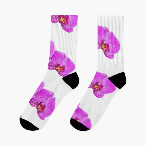 Item preview, Pink Phalaenopsis Blume Moth Orchid designed and sold by meliwamp406.