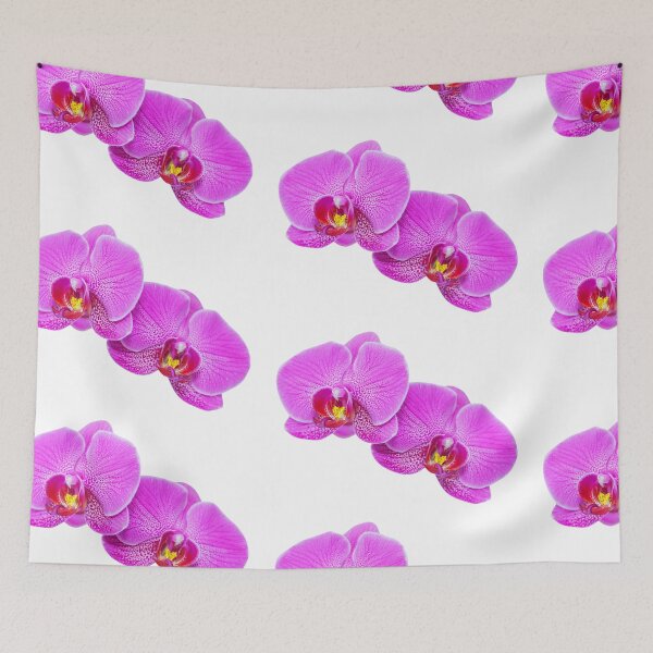 Item preview, Pink Phalaenopsis Blume Moth Orchid designed and sold by meliwamp406.
