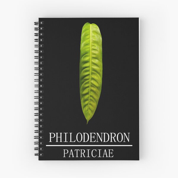 Item preview, Philodendron patriciae designed and sold by plantbear.