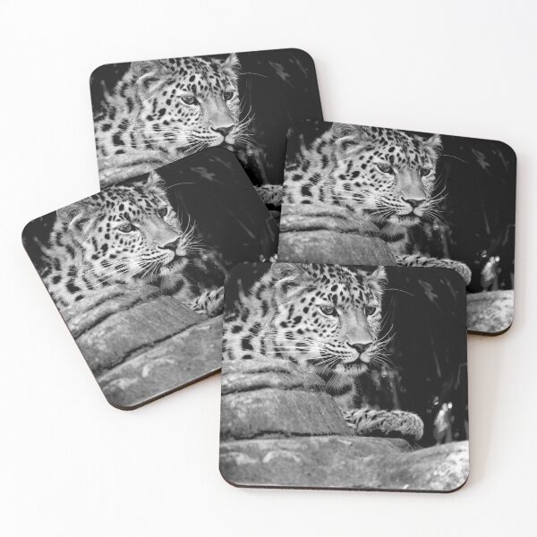 Item preview, Feline Fine (Monochrome) designed and sold by DoodleBugImages.