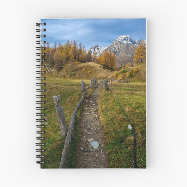 Item preview, track designed and sold by paolo amiotti.