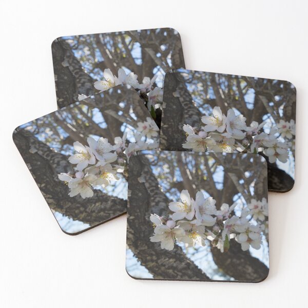 Item preview, Almond blossom 8, white flowers in spring designed and sold by Adriana Mueller.