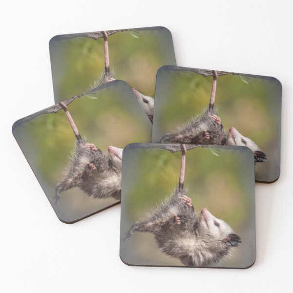 Item preview, Snapple Possum Jeans designed and sold by JollyBunny.