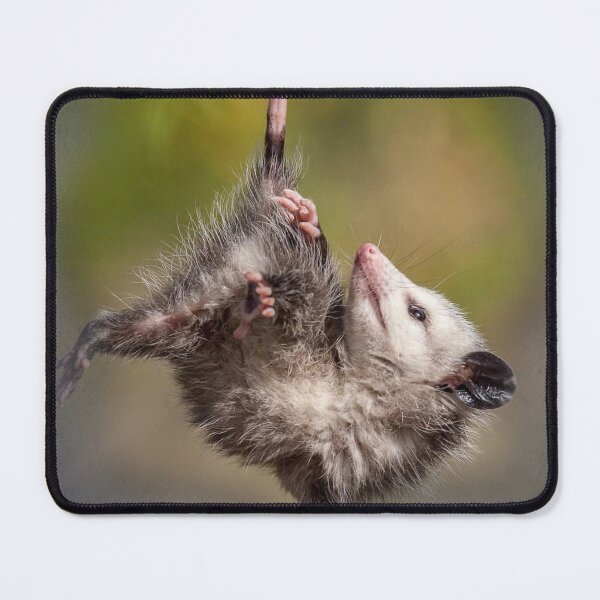 Item preview, Snapple Possum Jeans designed and sold by JollyBunny.
