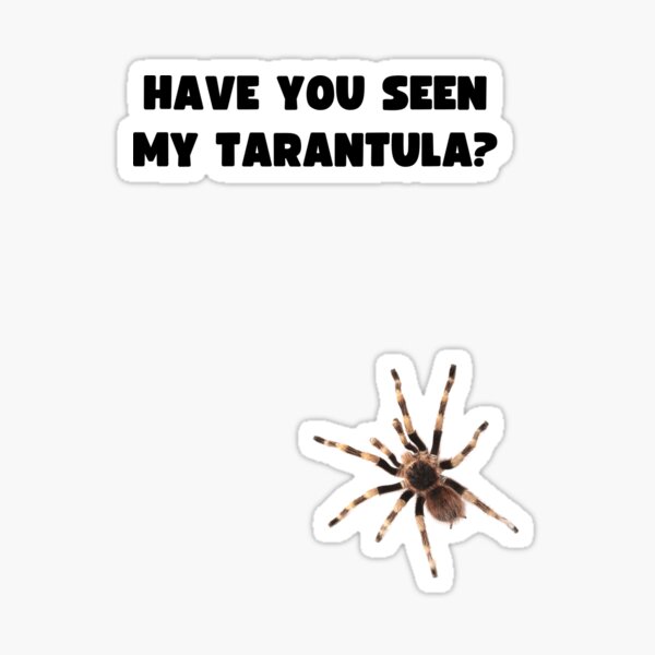 Item preview, HAVE YOU SEEN MY TARANTULA? designed and sold by appareltolove.
