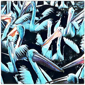 Artwork thumbnail, Pelican Party by RandaRubyRed