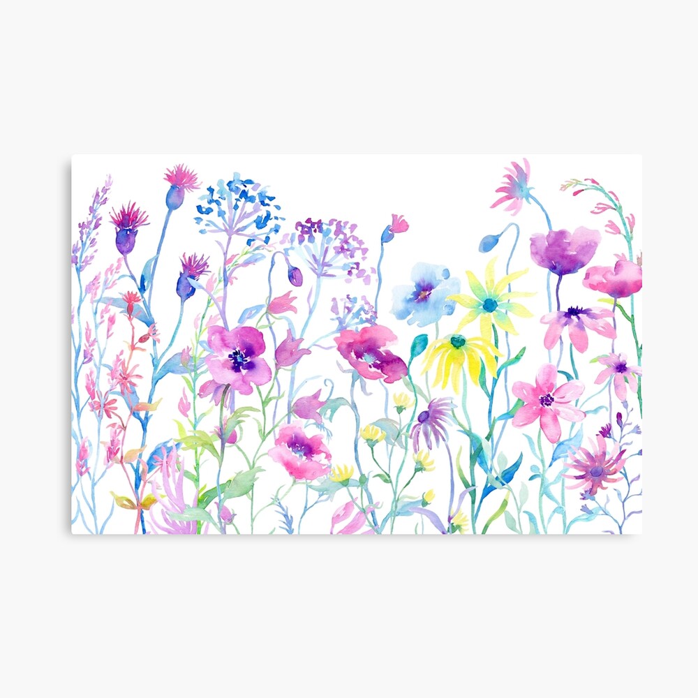 Impression Metallique Champ Aquarelle De Pastel Prairie De Fleurs Sauvages Par Cornercroft Redbubble