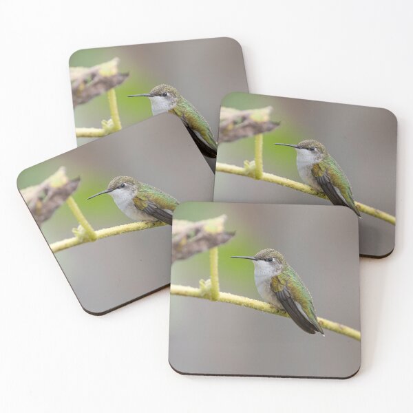 Item preview, Ruby-throated Hummingbird 2016-9 designed and sold by Thomasyoung.