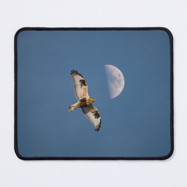 Item preview, A hawk flying and a partial moon in the background - designed and sold by FelCastro.