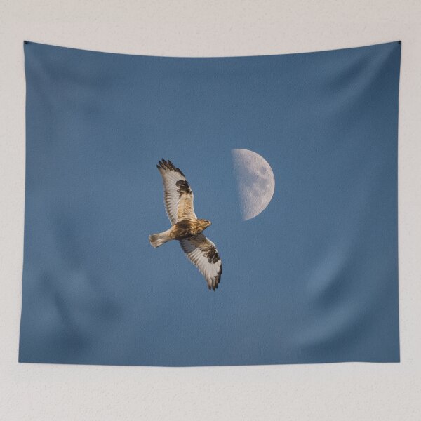 Item preview, A hawk flying and a partial moon in the background - designed and sold by FelCastro.