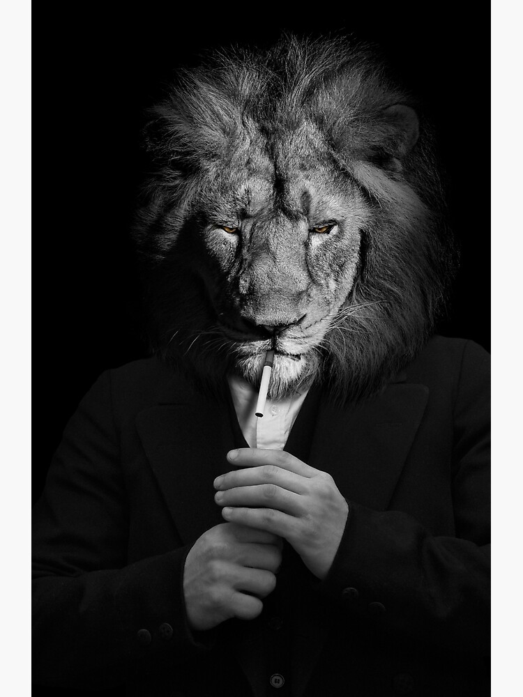 mountain lion smoking a cigarette Man in the form of a Lion he smokes a cigarette , The lion person , animal  face isolated black white Poster
