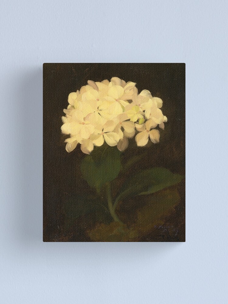 White hydrangea, 1890 by Stuart Park