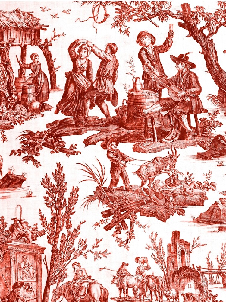 Toile Chic - The Awl