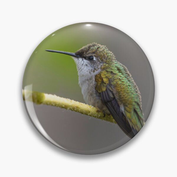 Item preview, Ruby-throated Hummingbird 2016-10 designed and sold by Thomasyoung.