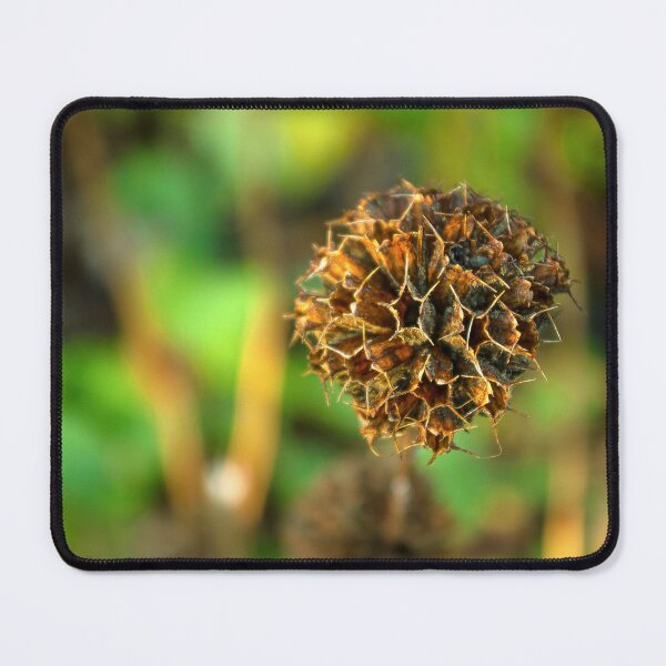 Item preview, Looking - A View designed and sold by Carl Gaynor.