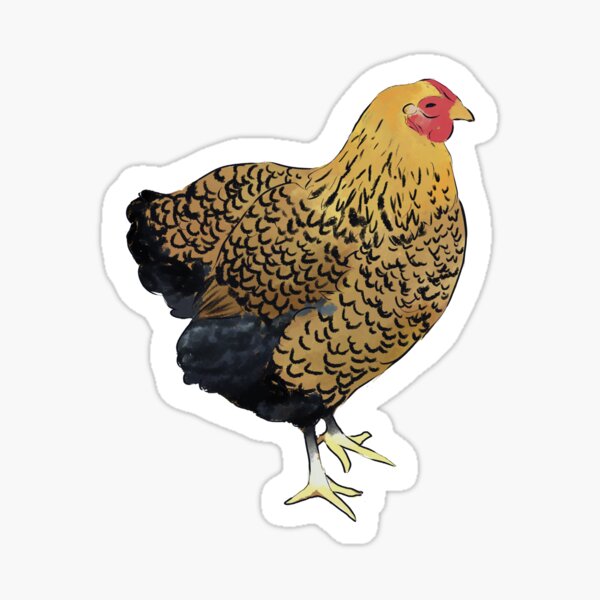 Item preview, Gold Laced Wyandotte designed and sold by gregschicks.