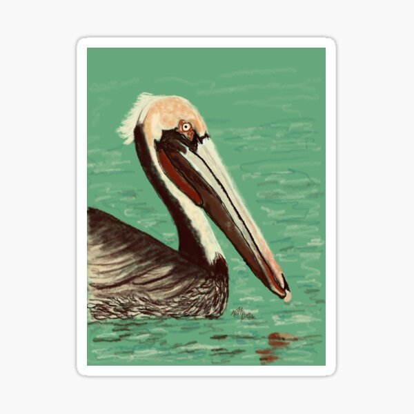 Pelican floating on calm sea | animal decor Sticker