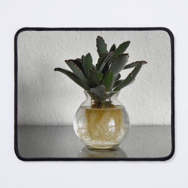 Item preview, Soaking Succulent designed and sold by to-mara.