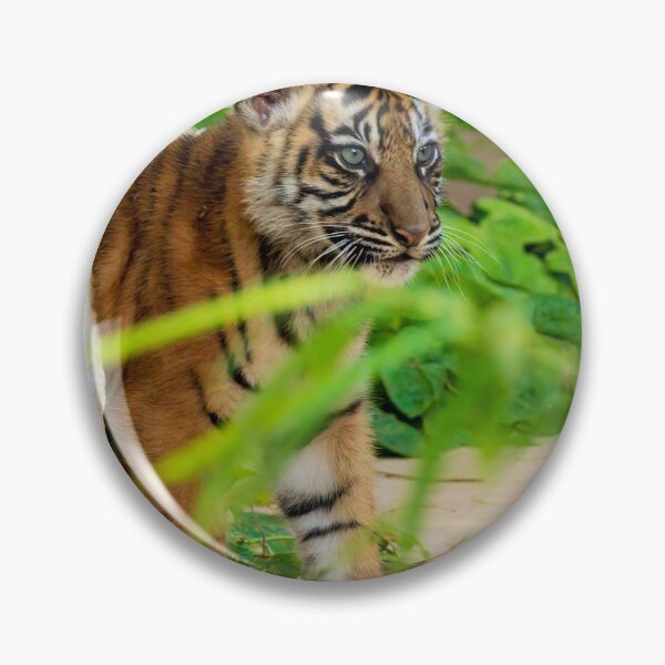Item preview, A baby tiger peeks through the brush designed and sold by noblephoto.