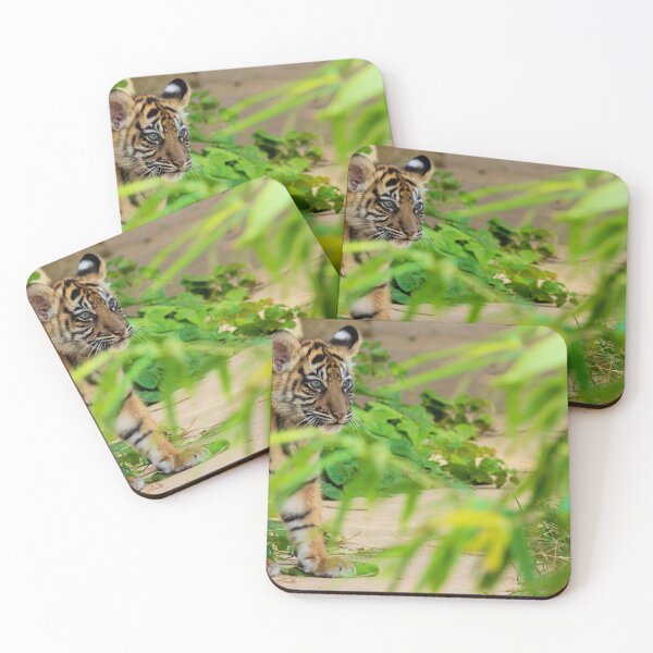 Item preview, A baby tiger peeks through the brush designed and sold by noblephoto.