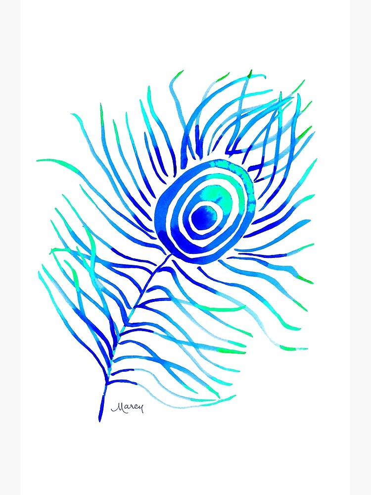 Blue Peacock Feather On White Background Poster For Sale By Marcybrennanart Redbubble