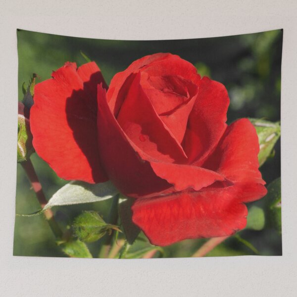 Item preview, Romantic Red Rose Dreamy Flower Art Photo designed and sold by DEC02.