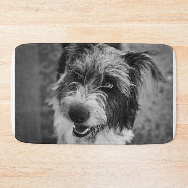 Item preview, Farley designed and sold by BZetterquist.