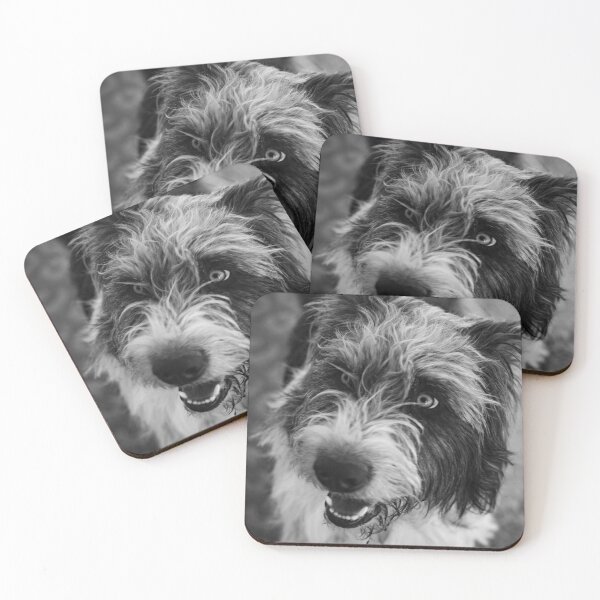 Item preview, Farley designed and sold by BZetterquist.