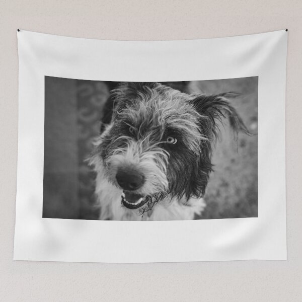 Item preview, Farley designed and sold by BZetterquist.
