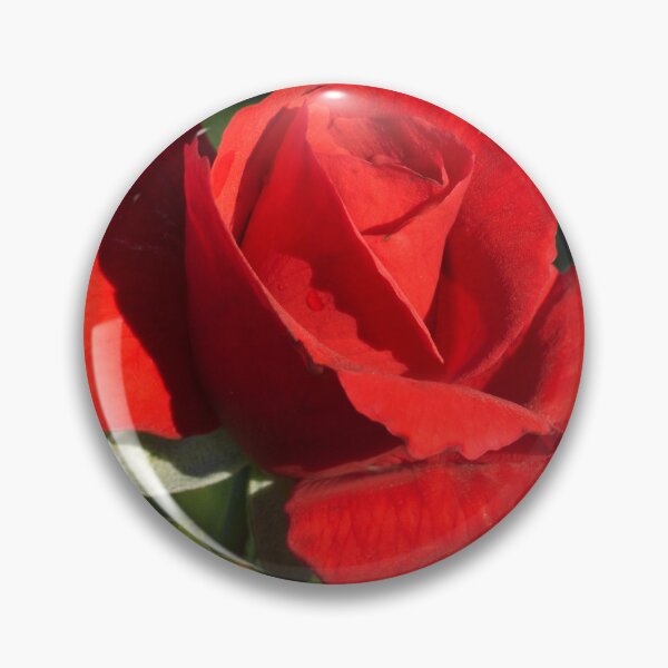 Artikelvorschau, Blumen-Kunst-Foto der romantischen roten Rose träumerisches entworfen und verkauft von DEC02.