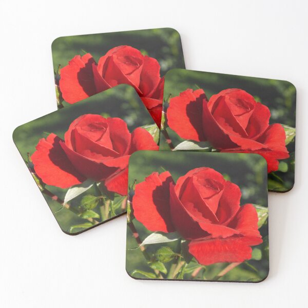 Item preview, Romantic Red Rose Dreamy Flower Art Photo designed and sold by DEC02.