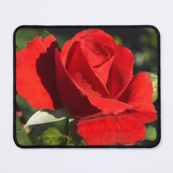 Item preview, Romantic Red Rose Dreamy Flower Art Photo designed and sold by DEC02.