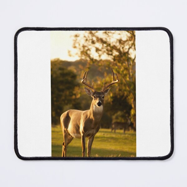 Item preview, Nice buck Premium Scoop  designed and sold by Exhibiliriosdf.
