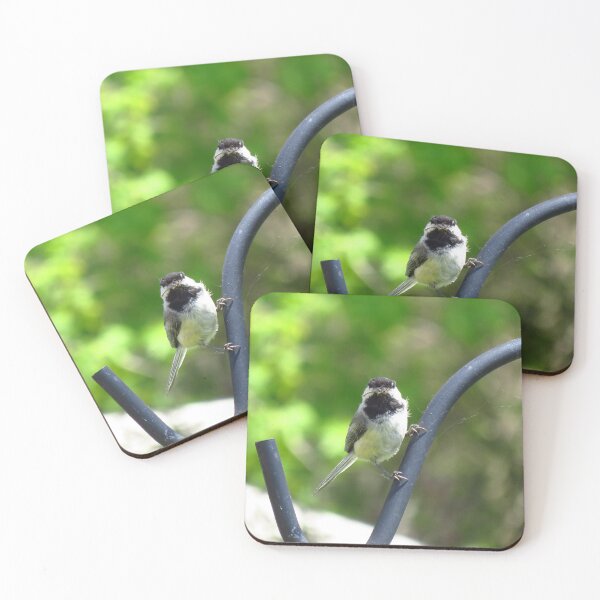 Item preview, Black-capped Chickadee Staring designed and sold by BackyardBirder.